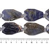 Natural Sodalite Beads Strands G-P548-B24-01-4