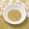 MIYUKI Delica Beads SEED-MY11-DB0042-2