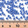 8/0 Glass Seed Beads SEED-A012-3mm-123B-3
