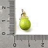 Brass with Enamel Charms KK-Q066-01K-G-3