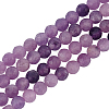 Olycraft 2 Strands Natural Lepidolite/Purple Mica Stone Beads Strands G-OC0004-86-1