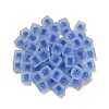 Frosted Acrylic European Beads OACR-G012-14E-3