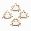 Eco-Friendly Zinc Alloy Pendants FIND-N048-43D-01-NR-2