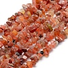 Natural Carnelian Beads Strands X-G-P332-04-1
