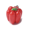 Resin Iron Pendants RESI-D280-05-1