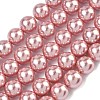 Electroplated Shell Pearl Beads Strands BSHE-G041-10mm-05-1