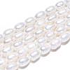 Natural Cultured Freshwater Pearl Beads Strands PEAR-N012-03E-3