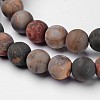 Natural Polychrome Jasper/Picasso Stone/Picasso Jasper Beads Strands G-D809-03-8mm-3
