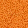 MIYUKI Delica Beads X-SEED-J020-DB1583-3