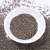 MIYUKI Delica Beads X-SEED-J020-DB0380-3