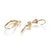 304 Stainless Steel Leverback Earrings Findings STAS-P227-45G-2