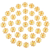50Pcs Computerized Embroidery Cloth Iron on/Sew on Patches PATC-CY0001-16C-1