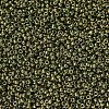 MIYUKI Round Rocailles Beads X-SEED-G007-RR0307-3