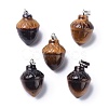 Natural Tiger Eye Pendants G-G842-01D-1