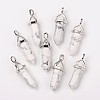 Natural Howlite Double Terminated Pointed Pendants G-F295-04F-3