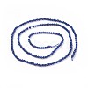 Transparent Glass Beads Strands GLAA-F094-A16-2