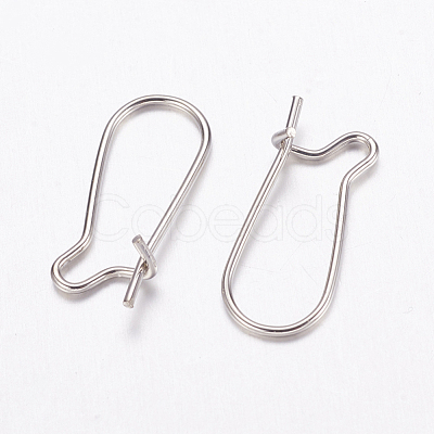 Brass Hoop Earrings Findings Kidney Ear Wires EC221-1-1