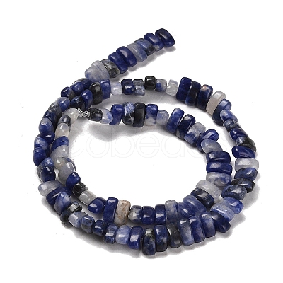 Natural Sodalite Beads Strands G-Q167-B06-01-1