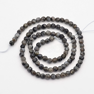 Faceted Round Natural Larvikite Beads Strands G-E302-083-4mm-1