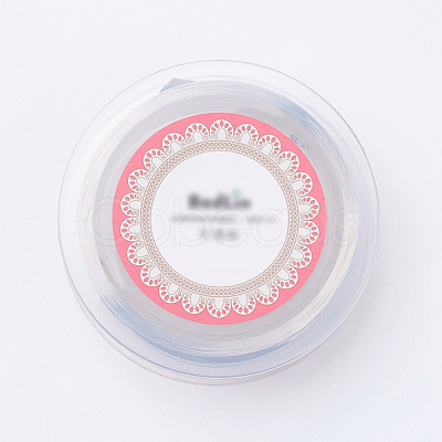 Steel Wire TWIR-E001-0.2mm-1