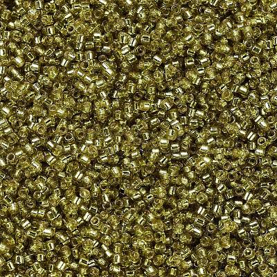 MIYUKI Delica Beads X-SEED-J020-DB2164-1
