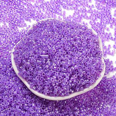 Electroplate Transparent Glass Seed Beads SEED-S042-16A-03-1