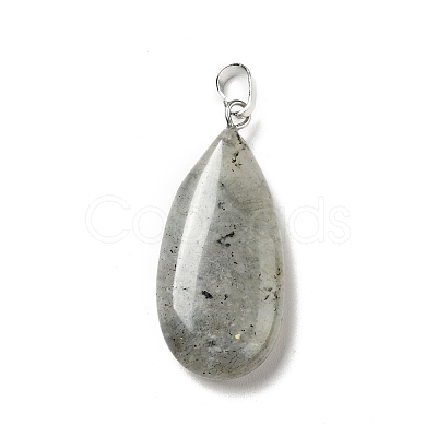 Natural Labradorite Pendants G-P474-01P-07-1
