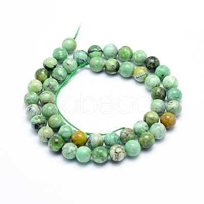 Natural Variscite Beads Strands G-G823-02-8mm-1