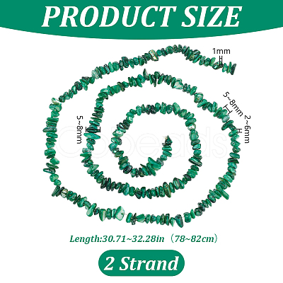 Natural Freshwater Shell Beads Strands BSHE-WH0006-05D-1