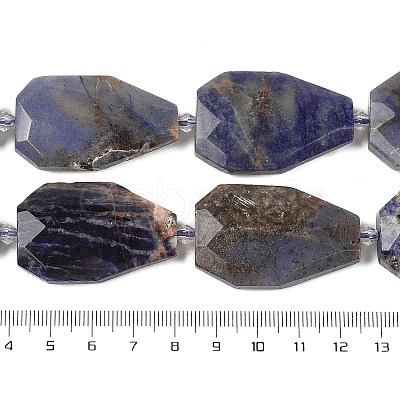 Natural Sodalite Beads Strands G-P548-B24-01-1