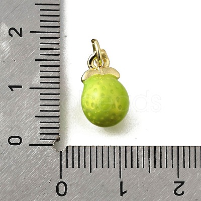 Brass with Enamel Charms KK-Q066-01K-G-1