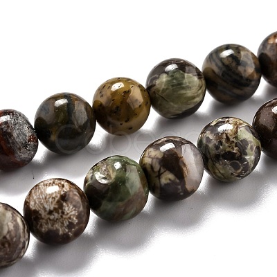 Round Natural Ocean Agate/Ocean Jasper Beads Strands G-L574-02C-1