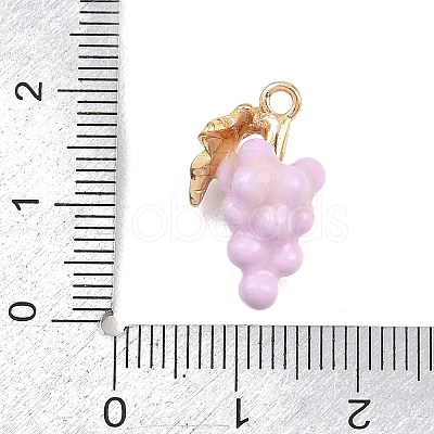 Fruit Alloy Enamel Pendants ENAM-P264-02G-G04-1