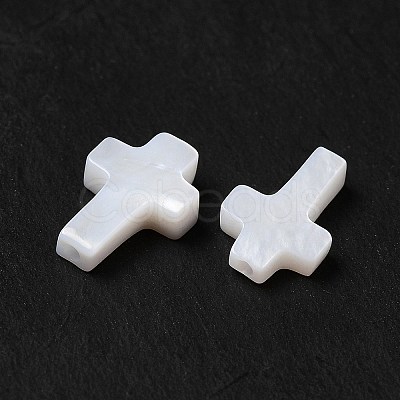 Natural Freshwater Shell Beads BSHE-E026-09-1