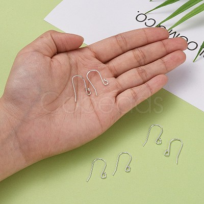 925 Sterling Silver Earring Hooks STER-G011-18-1