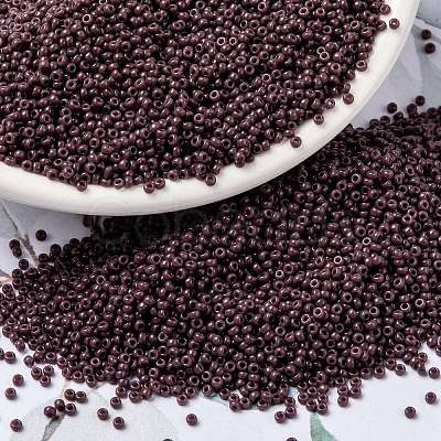 MIYUKI Round Rocailles Beads X-SEED-G009-RR0497-1