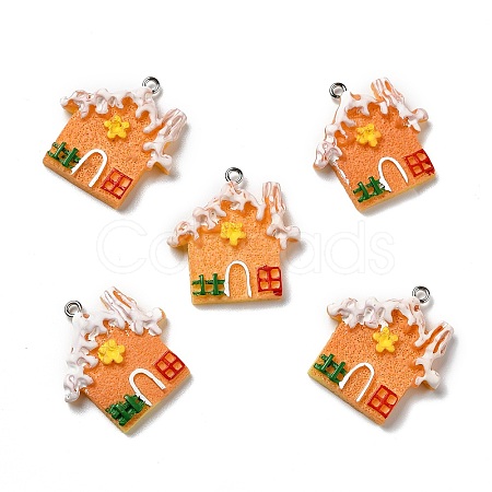 Opaque Resin Pendants LS-RESI-D055-123P-1