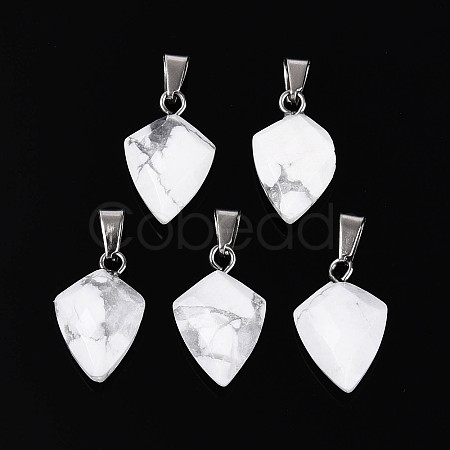 Natural Howlite Pendants G-N349-18P-07-1