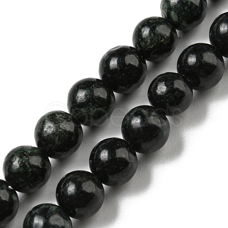 Natural Serpentine Beads Strands G-P504-6mm-01-1