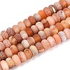 Natural Weathered Agate Beads Strands G-N357-13A-04-2