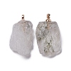 Natural Tourmalinated Quartz/Black Rutilated Quartz Pendants G-B021-06-2