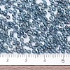 MIYUKI Round Rocailles Beads X-SEED-G007-RR2459-4