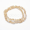 Electroplate Glass Beads Strands EGLA-J143-B-PL03-2
