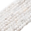 Natural Rainbow Moonstone Beads Strands X-G-D340-A01-6mm-2