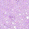 8/0 Glass Seed Beads SEED-Z001-C-E16-3