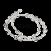 Natural Quartz Crystal Beads Strands G-B022-21B-3