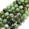 Natural Serpentine Beads Strands G-Z110-C04-8mm-2