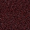 MIYUKI Round Rocailles Beads SEED-JP0008-RR2410-3