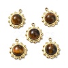 Natural Tiger Eye Charms STAS-L080-009G-09-1