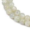 Natural Green Moonstone Beads Strands LS-G-NH0060-A01-02-4